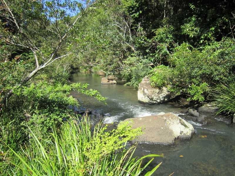 84 Armstrong Road, Rosebank NSW 2480