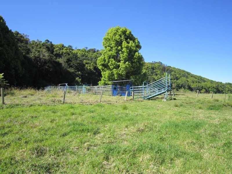 84 Armstrong Road, Rosebank NSW 2480