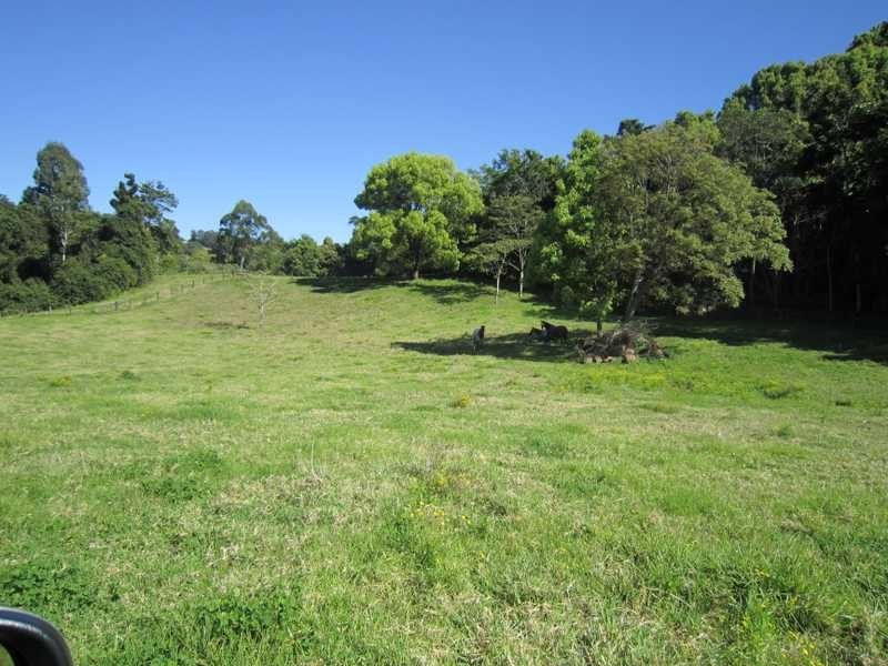 84 Armstrong Road, Rosebank NSW 2480