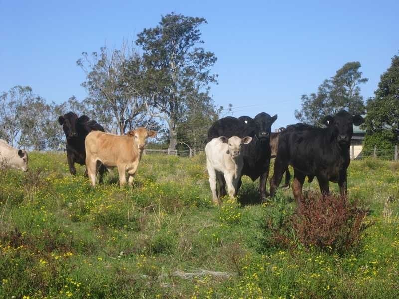 837 Rogerson Road, Mckees Hill NSW 2480