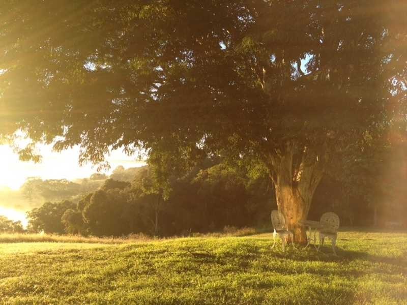 2 Elliot Road, Clunes NSW 2480