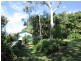 266 Rose Road, The Channon NSW 2480