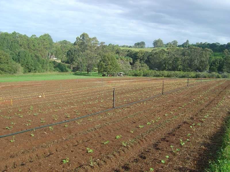 19 Johnston Rd, Newrybar NSW 2479