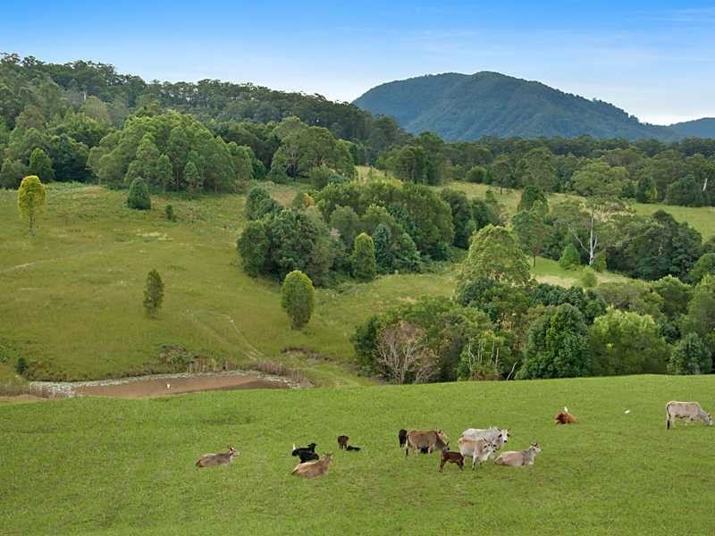 94 Hutchinson Rd, Nimbin NSW 2480