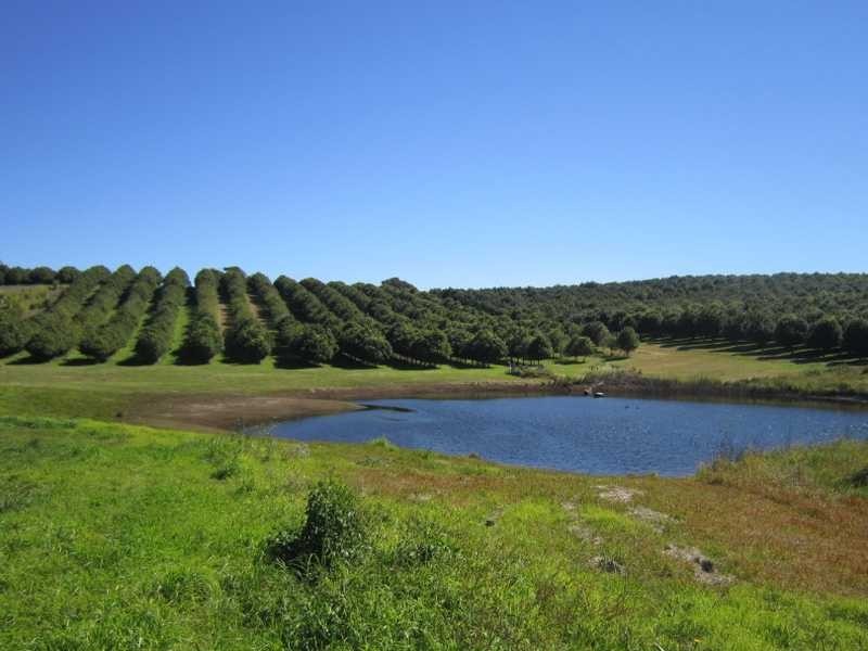 23 Shaws Lane, Tuckombil NSW 2477