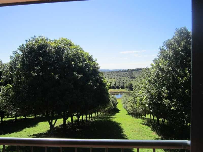 23 Shaws Lane, Tuckombil NSW 2477