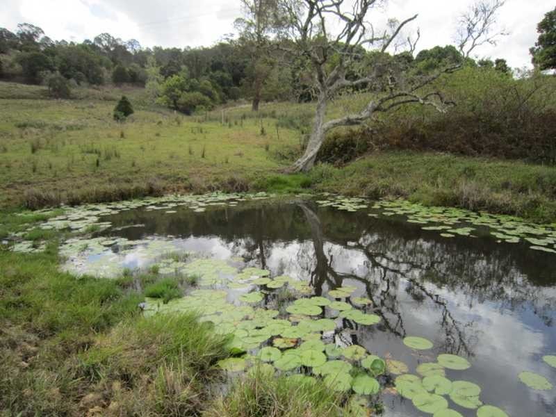 745 Pinchin Road, Goolmangar NSW 2480