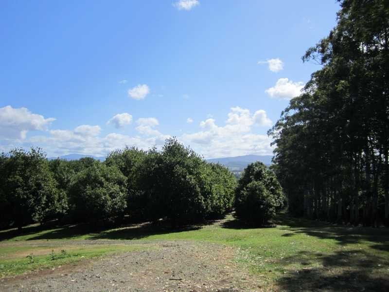 66 Fraser Road, Dunoon NSW 2480