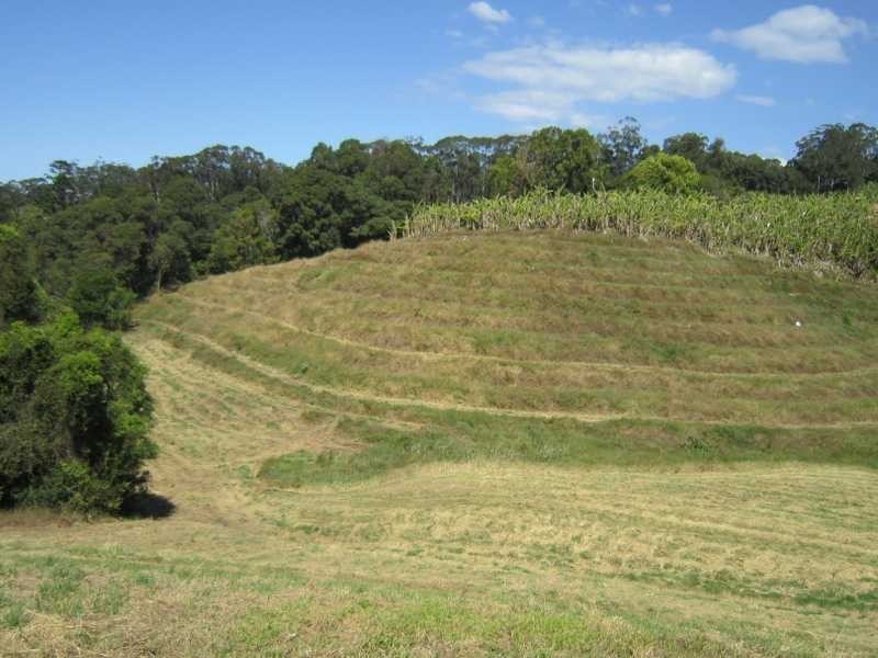 22 Billinudgel Road, Billinudgel NSW 2483