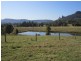 219 Stoneychute Road, Nimbin NSW 2480