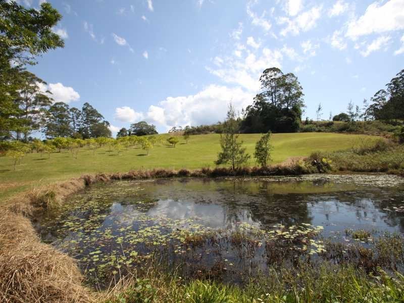 Blue Knob NSW 2480