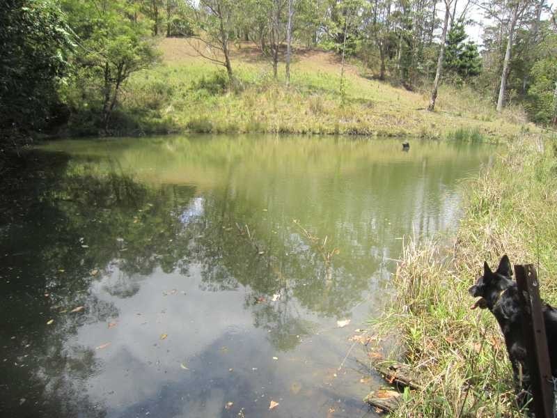 Lot 3 Zouch Road, Stony Chute NSW 2480