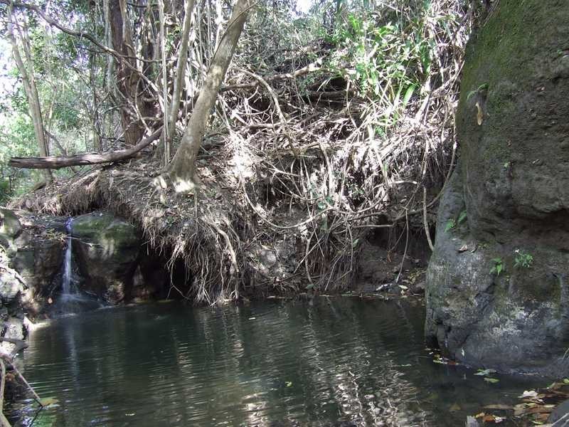 Lot 3 Zouch Road, Stony Chute NSW 2480