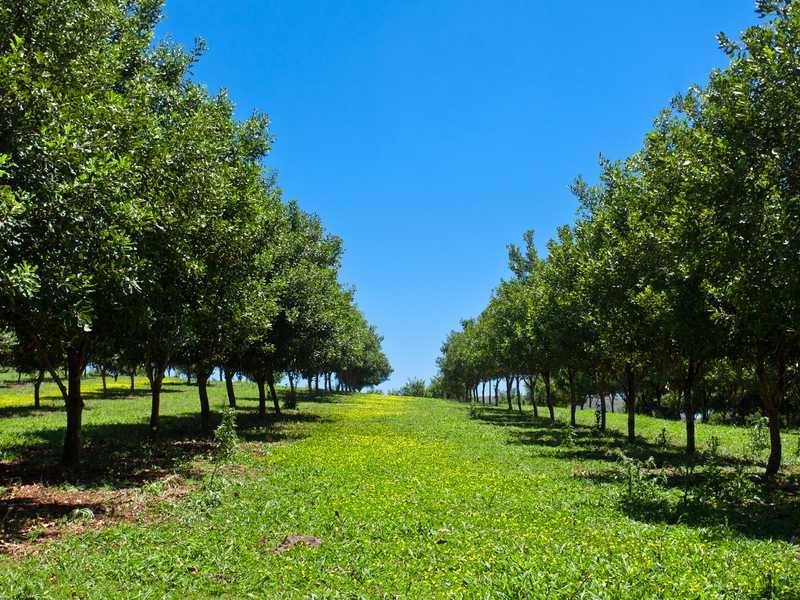 2364C Dunoon Road, Dorroughby NSW 2480