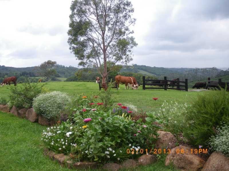 2364C Dunoon Road, Dorroughby NSW 2480