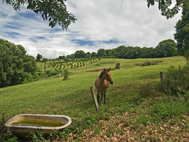 1273 Bangalow Road, Clunes NSW 2480