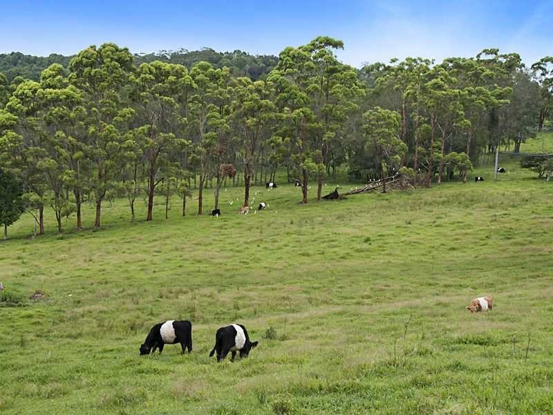 15 James View Court, Coorabell NSW 2479