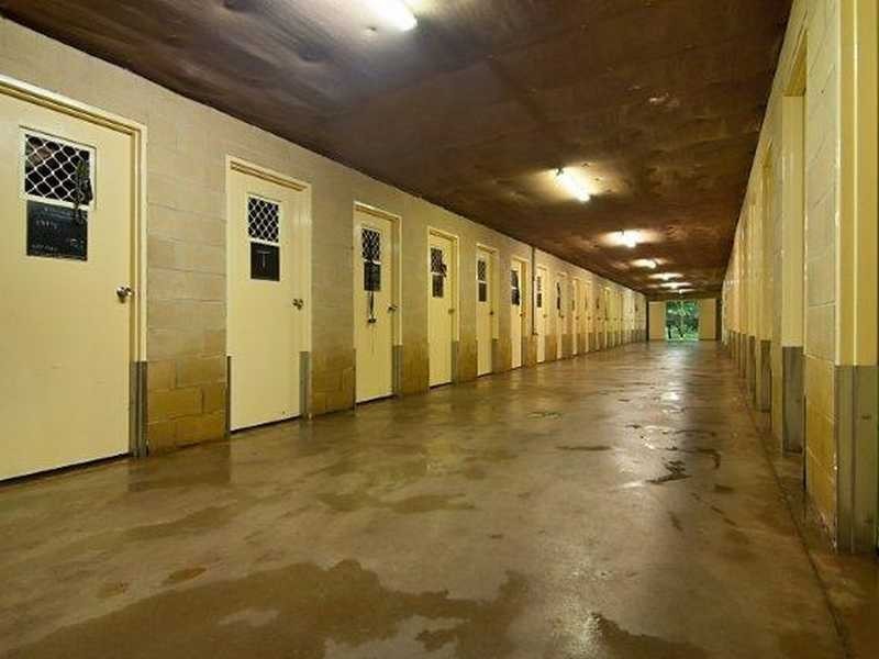 102 Dalwood Road, Alstonville NSW 2477