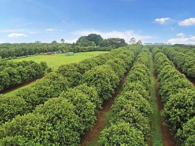 102 Dalwood Road, Alstonville NSW 2477