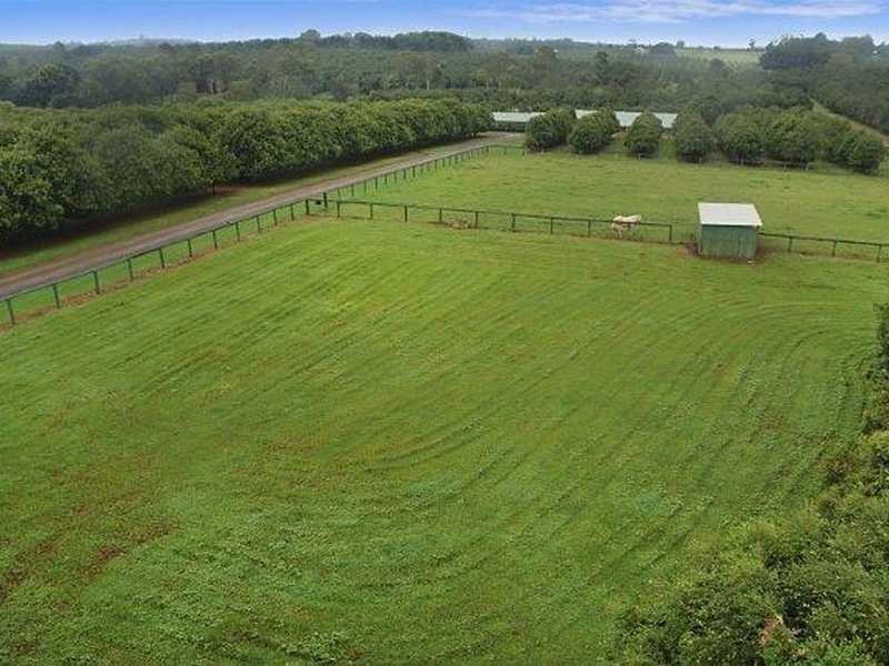 102 Dalwood Road, Alstonville NSW 2477