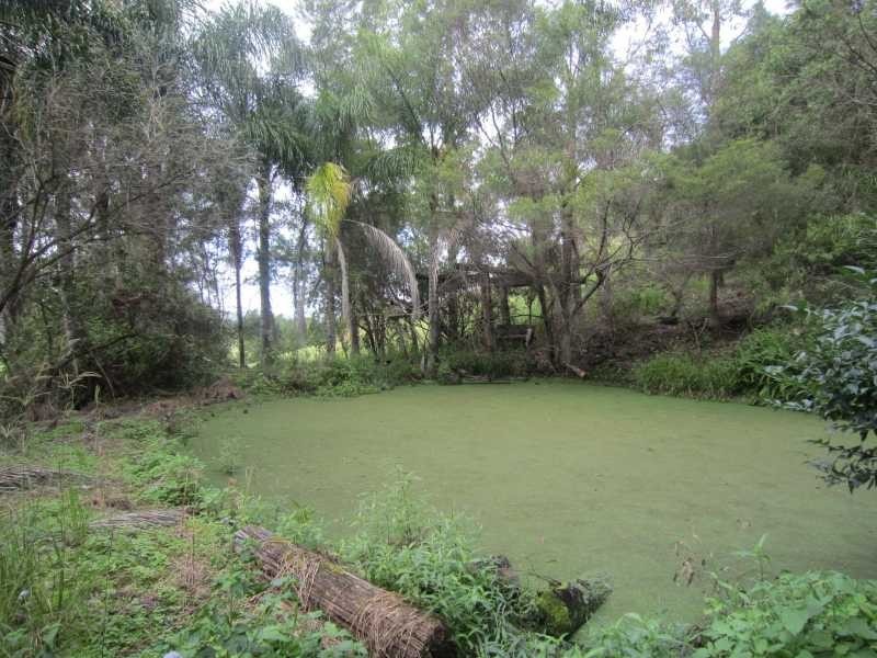 151 Pinchin Road, Goolmangar NSW 2480