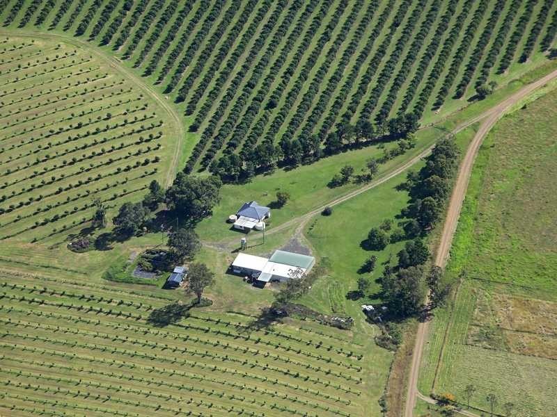 100 Lees Lane, Hogarth Range NSW 2469