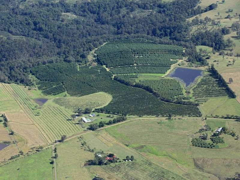 100 Lees Lane, Hogarth Range NSW 2469