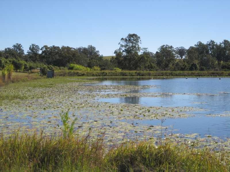 100 Lees Lane, Hogarth Range NSW 2469