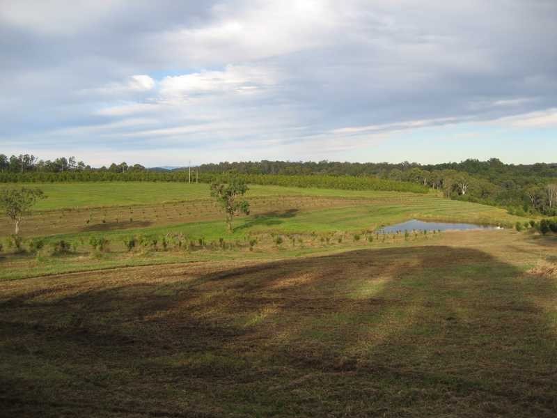 100 Lees Lane, Hogarth Range NSW 2469