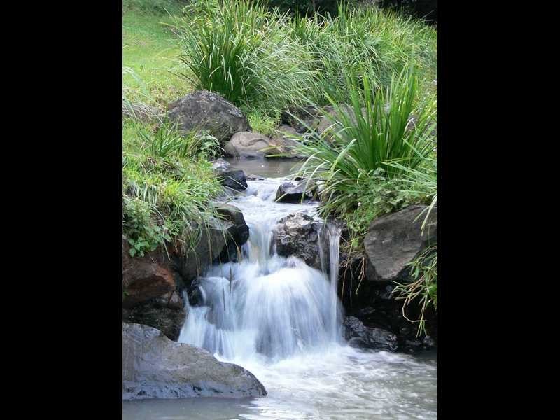 1630 Nimbin Road, Koonorigan NSW 2480