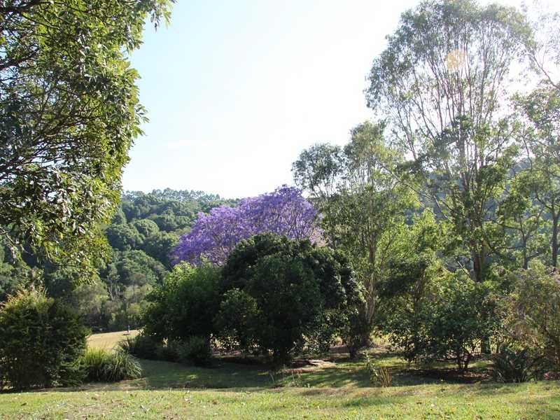 60 Fairview Road, Rosebank NSW 2480