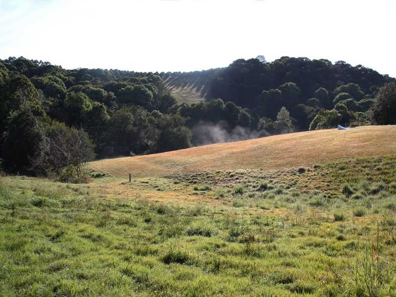 60 Fairview Road, Rosebank NSW 2480