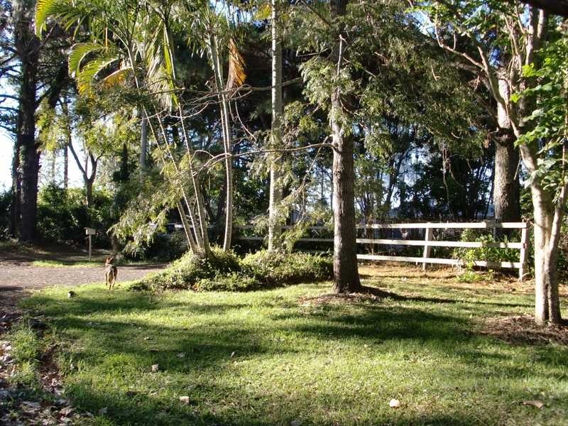 31 Jorgensens Lane, Newrybar NSW 2479