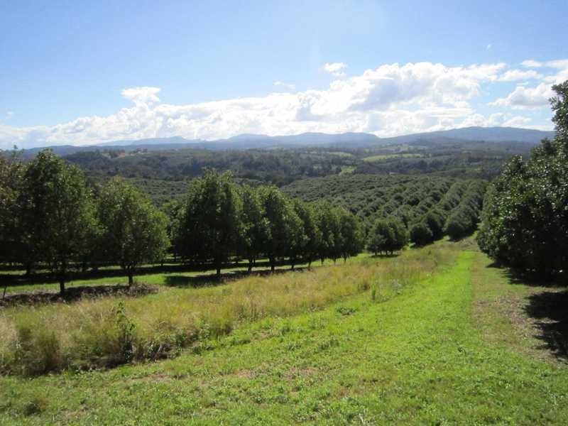 40 Fraser Road, Dunoon NSW 2480