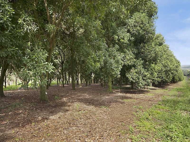 168 Missingham Rd, Dorroughby NSW 2480