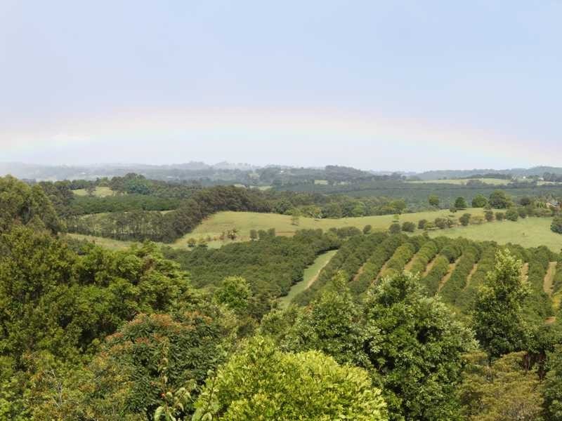 25 Batrel Road, Mcleans Ridges NSW 2480