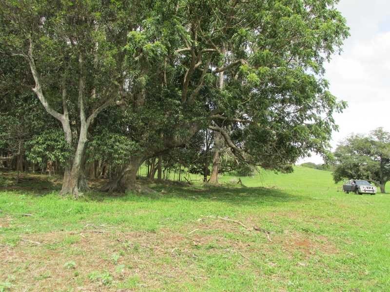 22 East Street, Tintenbar NSW 2478