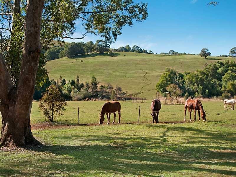 84 Dudgeons Lane, Bangalow NSW 2479