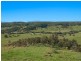 190 Bice Road, Leycester NSW 2480