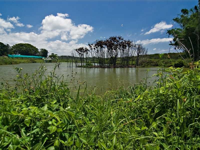 70 Kennedys Lane, Ewingsdale NSW 2481