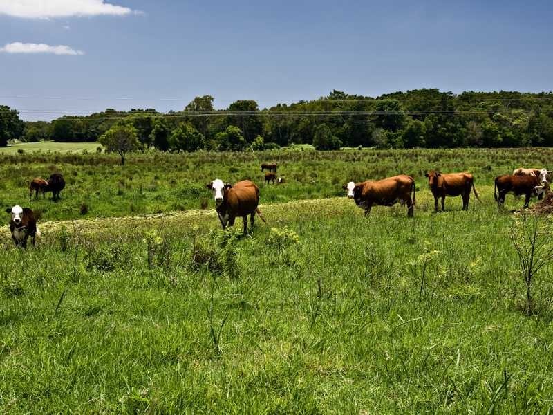 70 Kennedys Lane, Ewingsdale NSW 2481