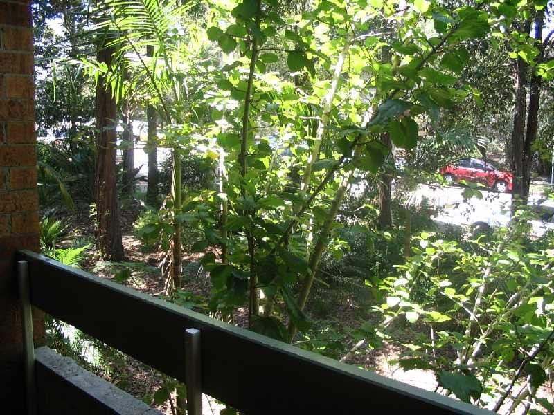 2/133 Burns Bay Road, Lane Cove NSW 2066