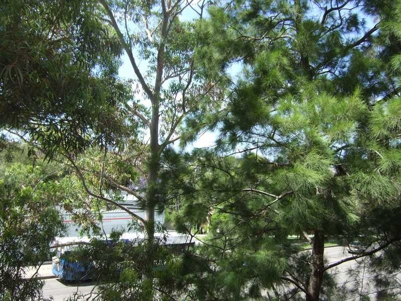 37/482 Pacific Highway, Artarmon NSW 2064