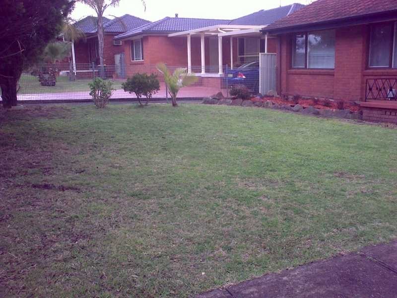 77 Warrimoo Drive, Quakers Hill NSW 2763