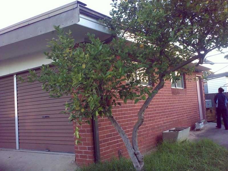 14a Fullam Road, Blacktown NSW 2148