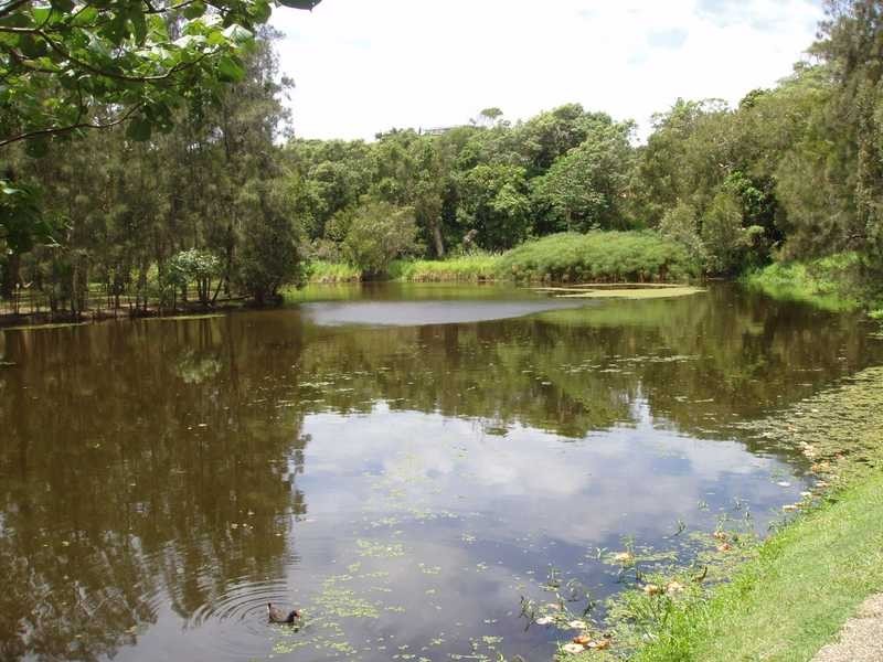 73a William Street, Blacktown NSW 2148