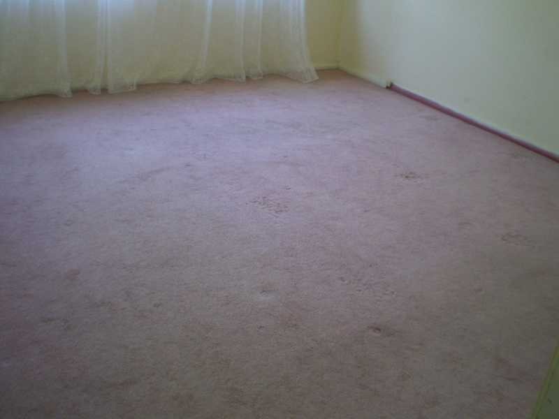 55 Craig Street, Blacktown NSW 2148