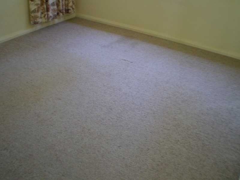 55 Craig Street, Blacktown NSW 2148