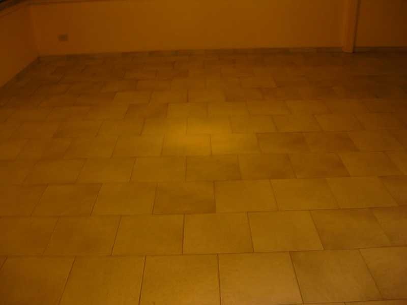 48 Haynes Ave, Seven Hills NSW 2147