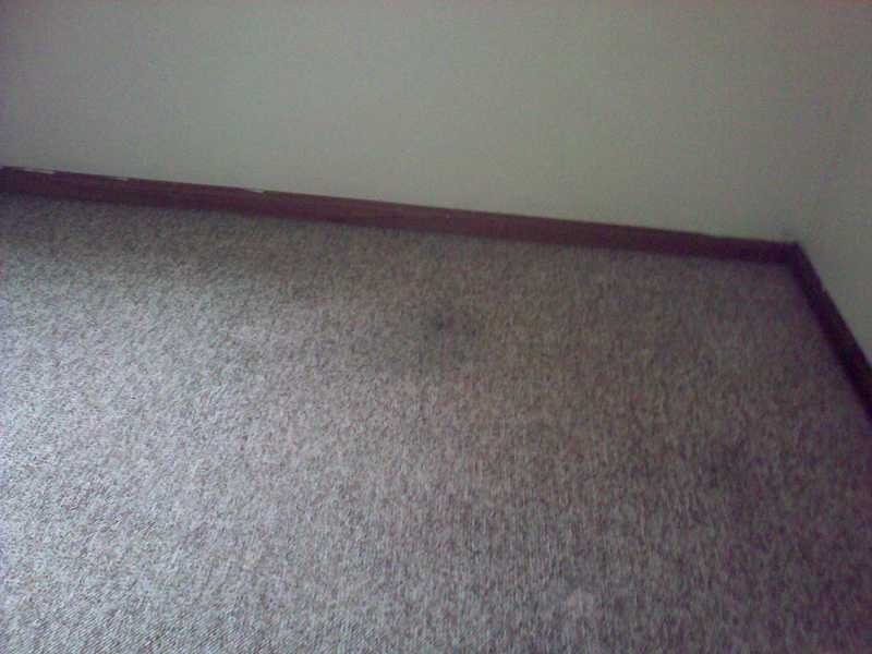 Unit 2/38 Newton Road, Blacktown NSW 2148